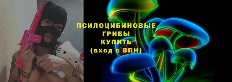 где купить наркоту  Шуя  Псилоцибиновые грибы Psilocybe 